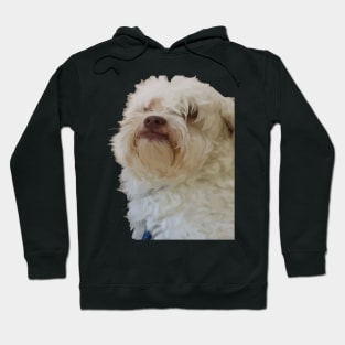 Grumpy Terrier Dog With Long White Hair Covering Eyes Hoodie